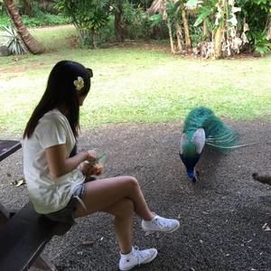 Meet your Posher, Xi